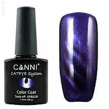 CANNI Cat Eye Color Coat Магнитный гель лак №278