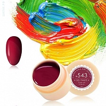 CANNI Gel Paint Гель краска 543