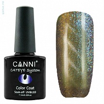 CANNI Cat Eye Color Coat Магнитный гель лак №454