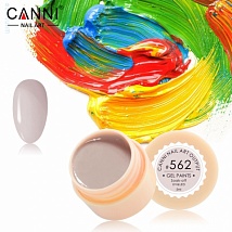 CANNI Gel Paint Гель краска 562