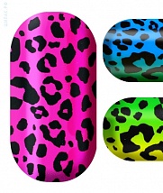 For kimmie kyees - rainbow leopard-133-006