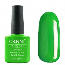 CANNI Gel Color Гель лак №160