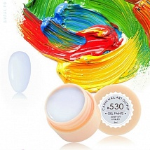 CANNI Gel Paint Гель краска 530