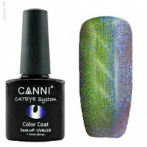 CANNI Cat Eye Color Coat Магнитный гель лак №452