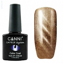 CANNI Cat Eye Color Coat Магнитный гель лак №284