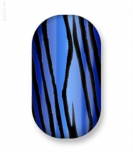 Blue lightning zebra 109-014