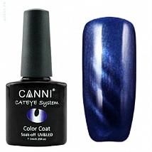 CANNI Cat Eye Color Coat Магнитный гель лак №283