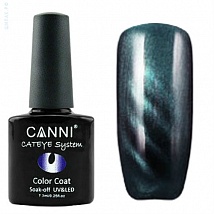 CANNI Cat Eye Color Coat Магнитный гель лак №294