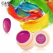 CANNI Gel Paint Гель краска 553