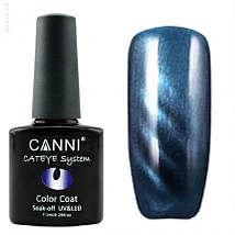 CANNI Cat Eye Color Coat Магнитный гель лак №287